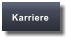 Karriere
